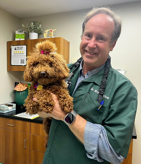 Dr. Brian smiling while holding a curly-haired brown poodle in a veterinary exam room