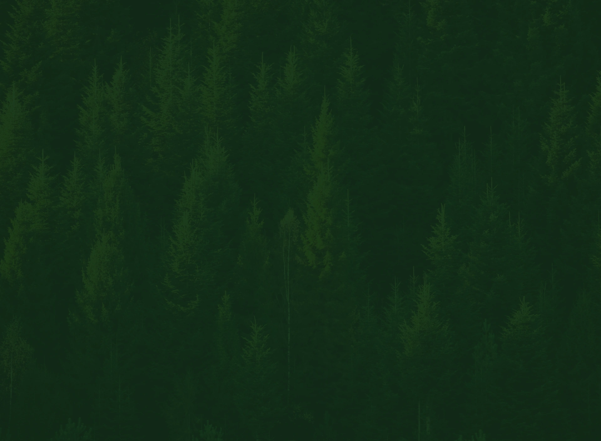 Dark green foliage background texture with a subtle gradient fade