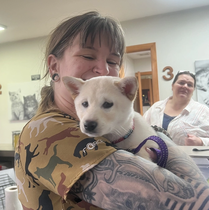 Welcome to Pine Bluff Animal Hospital
