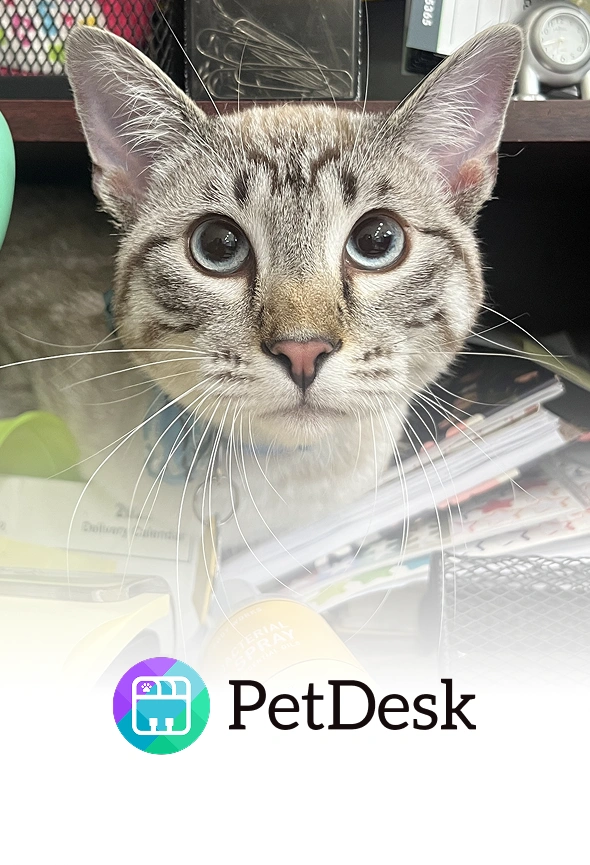 Download Our PetDesk App Today!