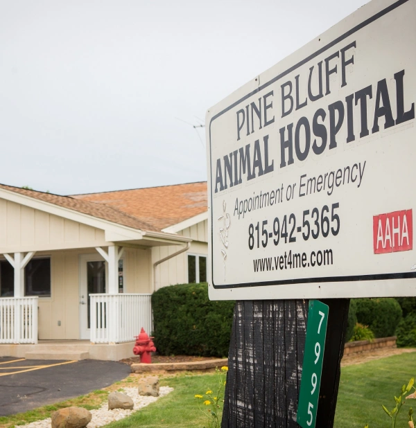 Pine Bluff Animal Hospital sign outside the clinic building, AAHA accredited