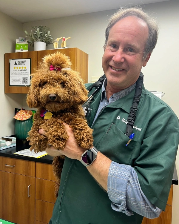 Dr. Brian D. Schmidt in green scrubs holding a curly-haired brown dog in the exam room