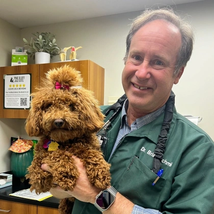 Dr. Brian D. Schmidt smiling while holding a curly-haired brown dog