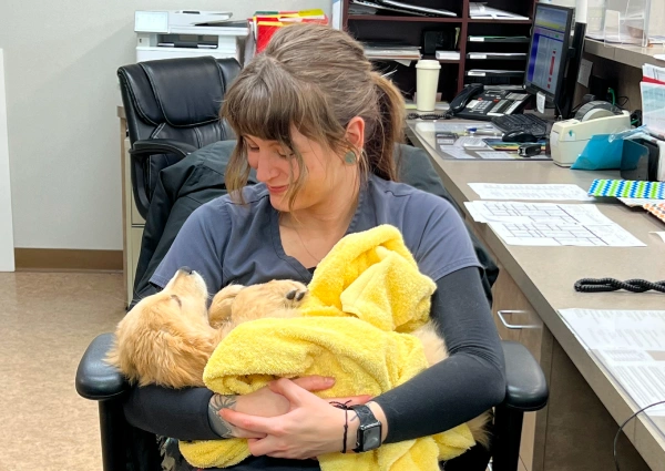 Pet Emergencies During Business Hours - Please Call First